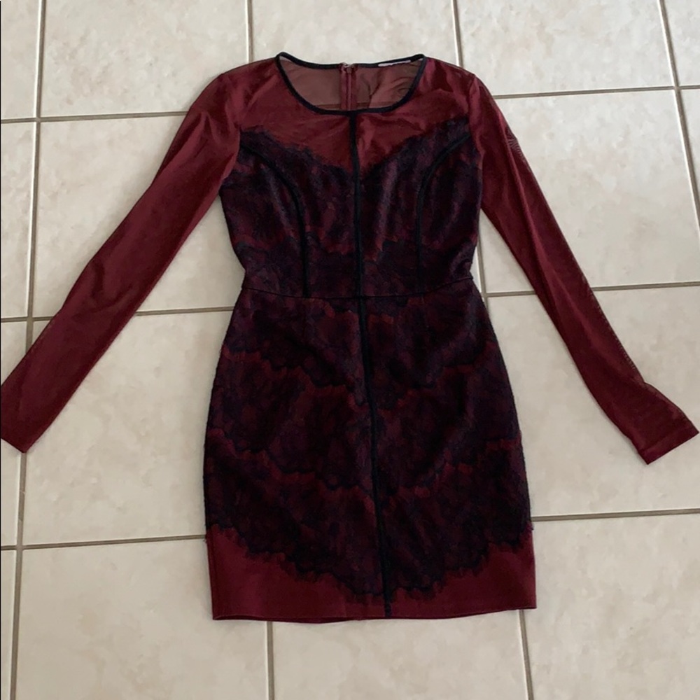 Maroon Mesh Dress